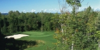 Wild Bluff Golf Course in Brimley